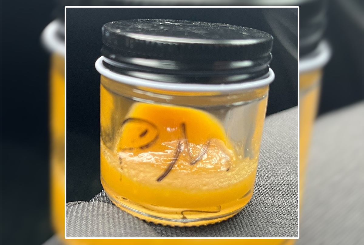 Ellsworth denies license for medical cannabis chain with contaminated products