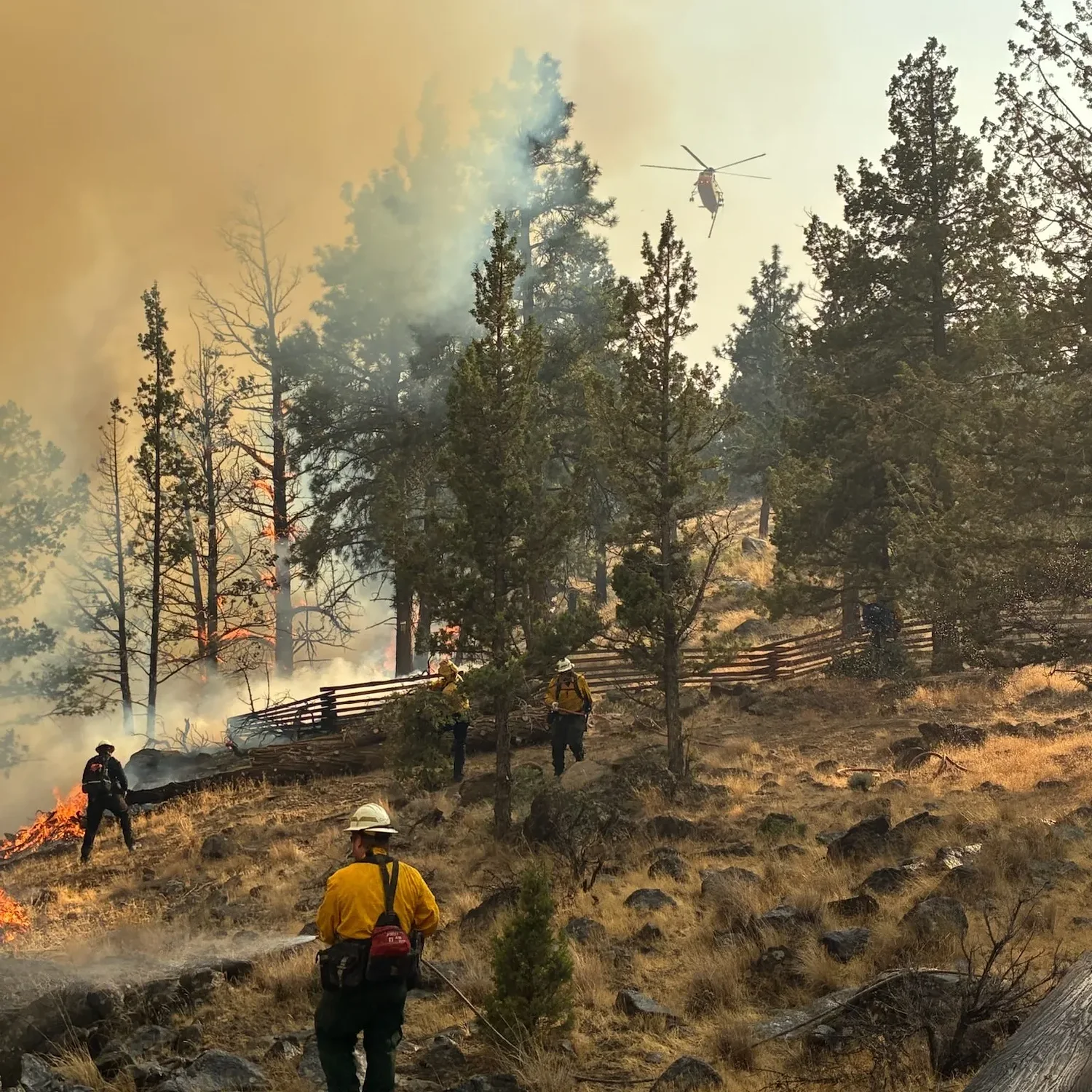 Fewer Oregon acres burned in 2025 wildfire season, but more homes lost