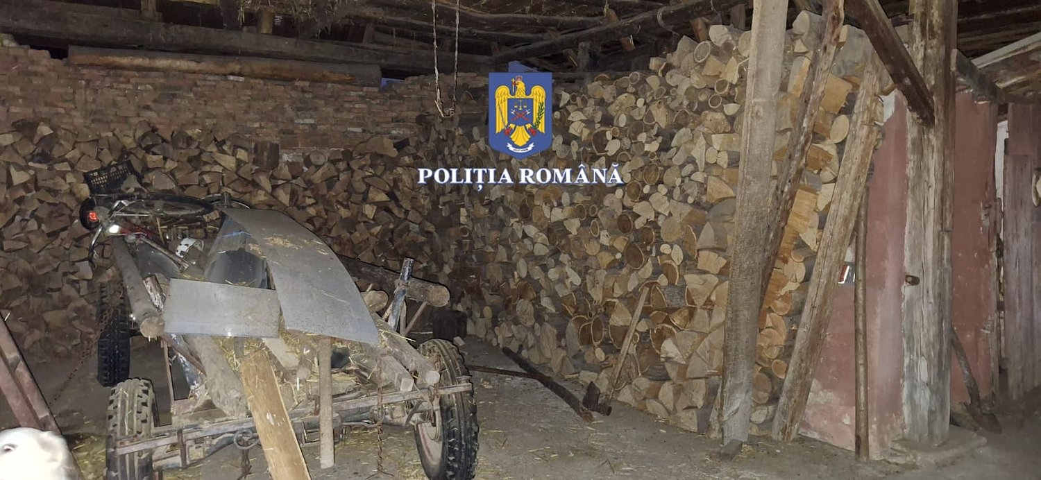 Mafia lemnului la Sibiu: 8 persoane reținute și 42 de oameni audiați în urma perchezițiilor de joi / video foto