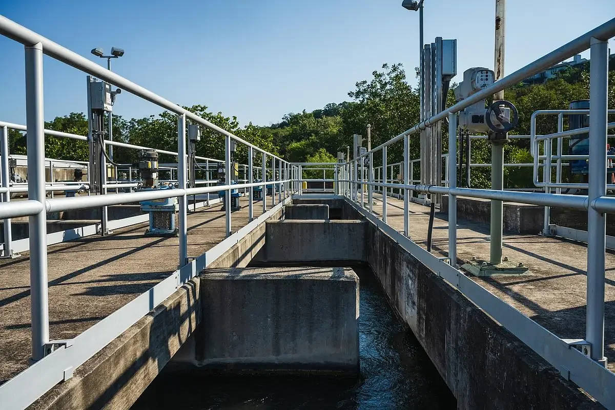 Brazos River pecan farm could play outsized role in Waco's water future