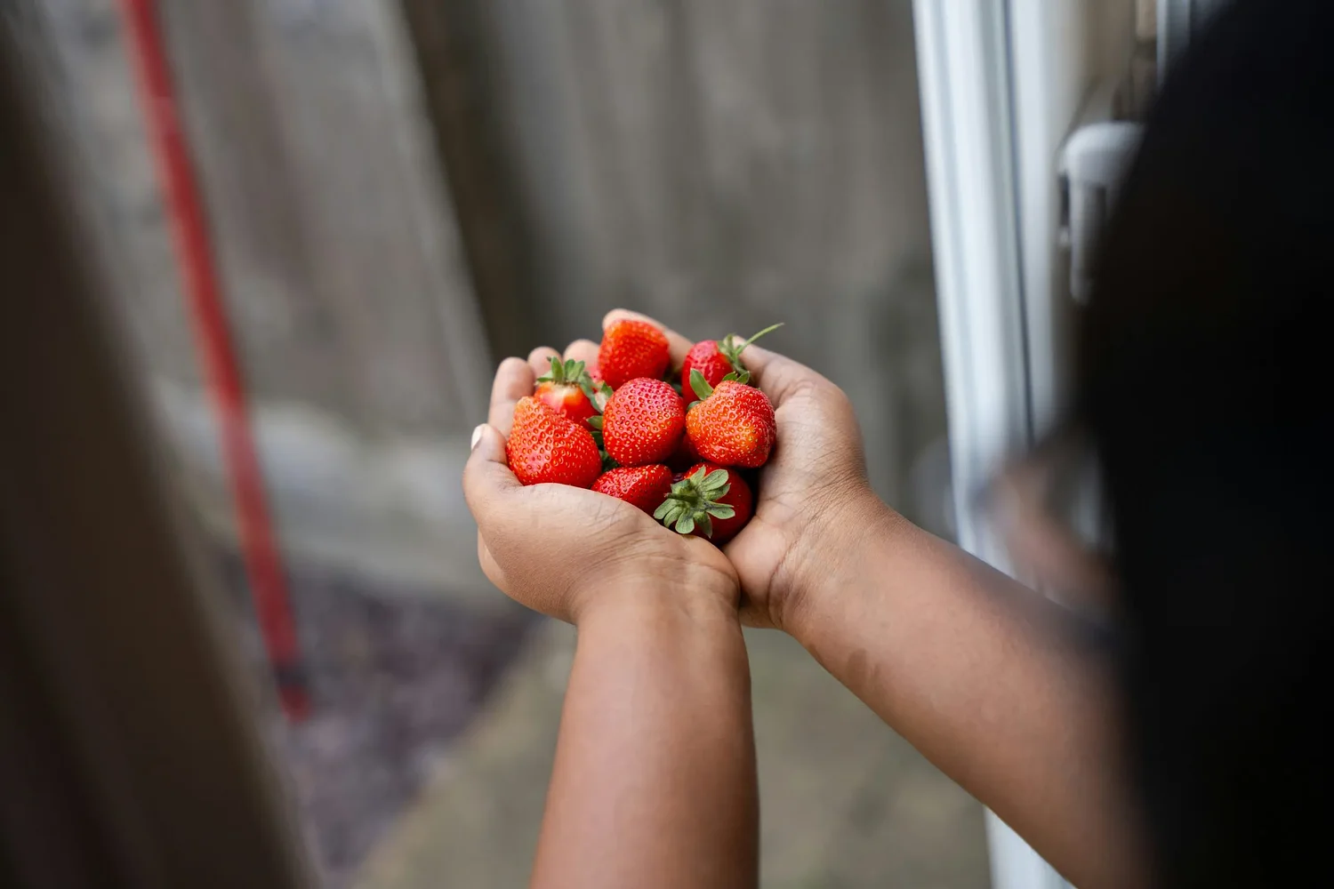 Experts share key foods to reduce stress and improve mental health