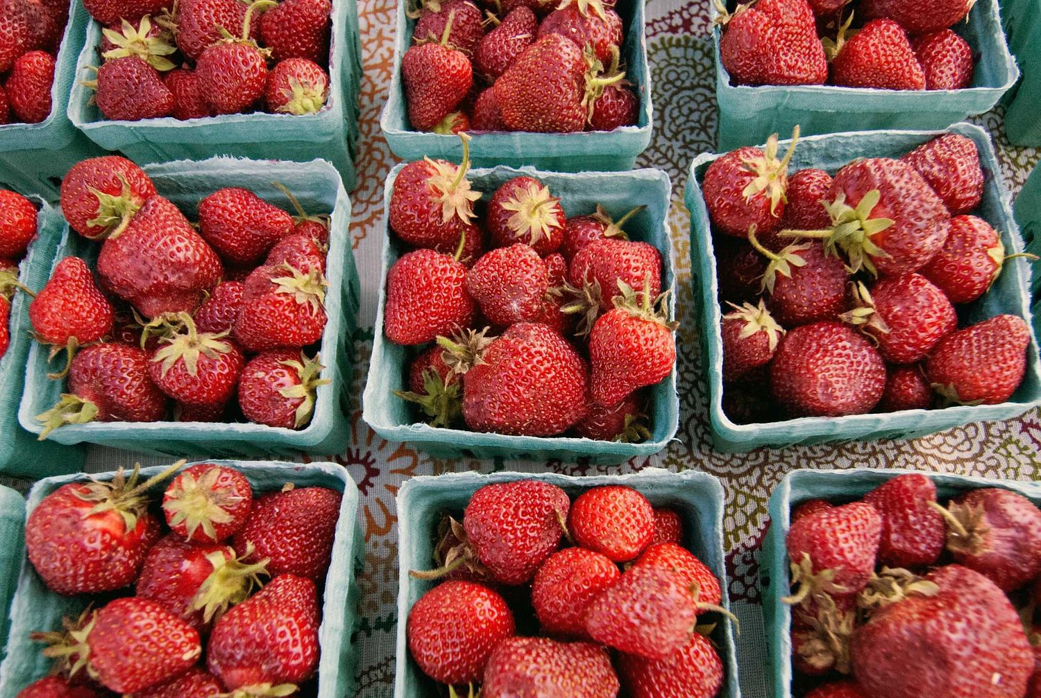 Nationwide strawberry shortage hits Connecticut stores as rains flood California fields