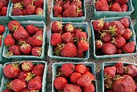 Nationwide strawberry shortage hits Connecticut stores as rains flood California fields