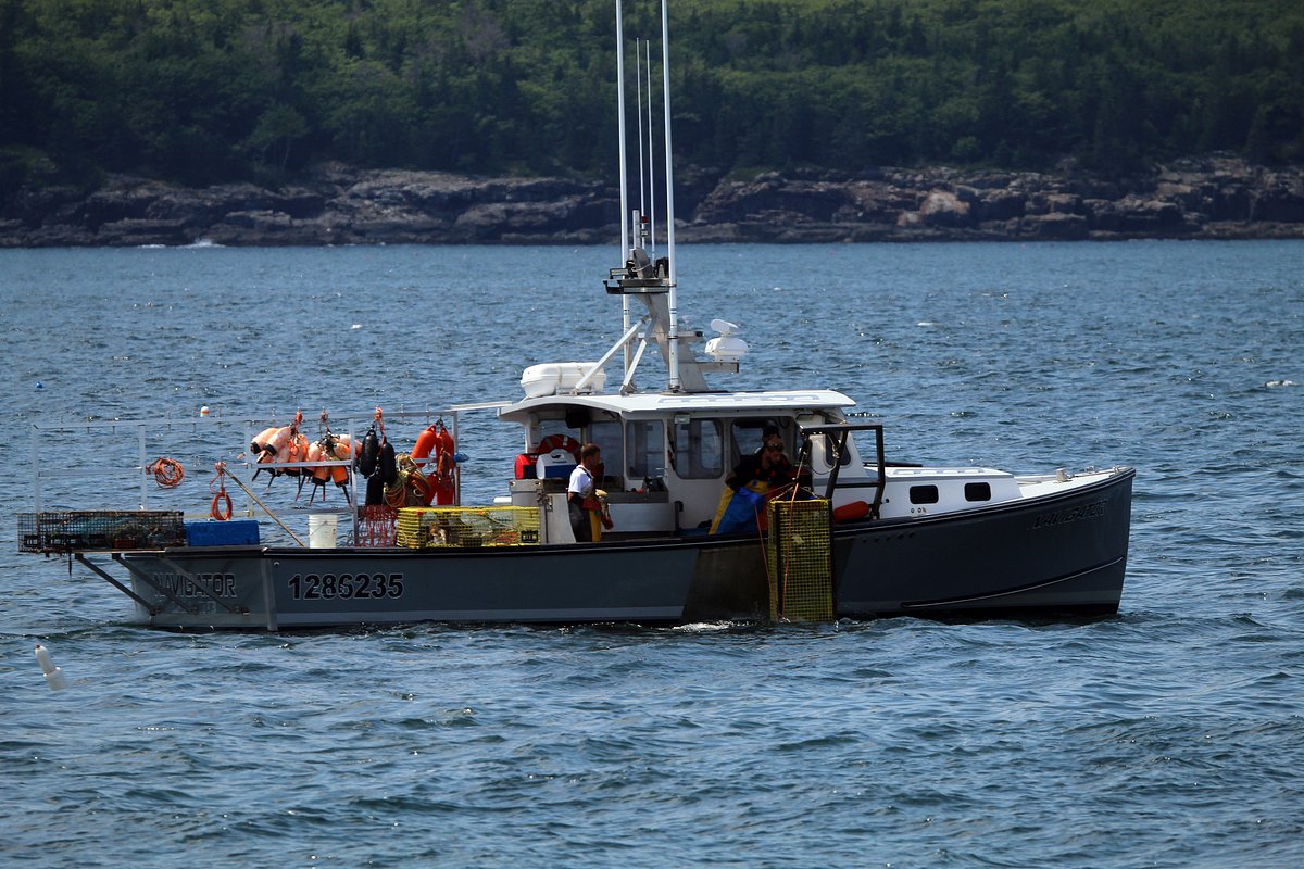 Despite lower lobster catch this year, what I’m seeing on the water gives me hope