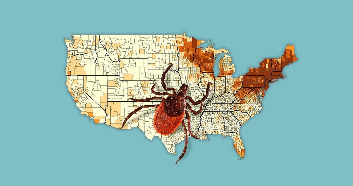 Tick bites surge, sending many to ER