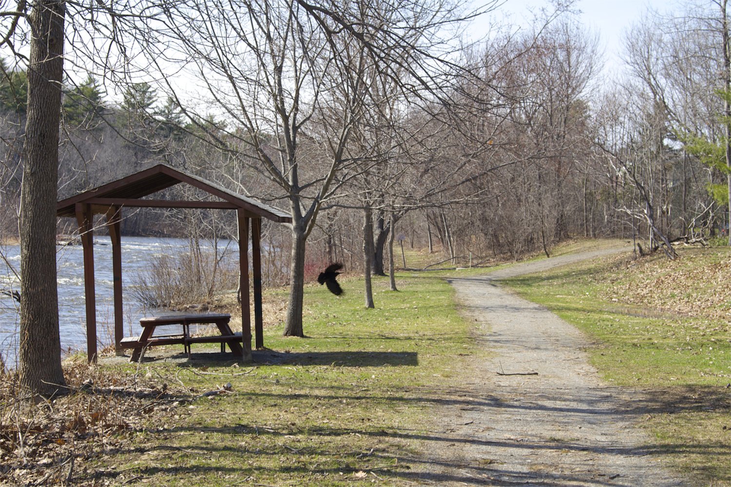 1-minute hike: Kenduskeag Stream Trail in Bangor