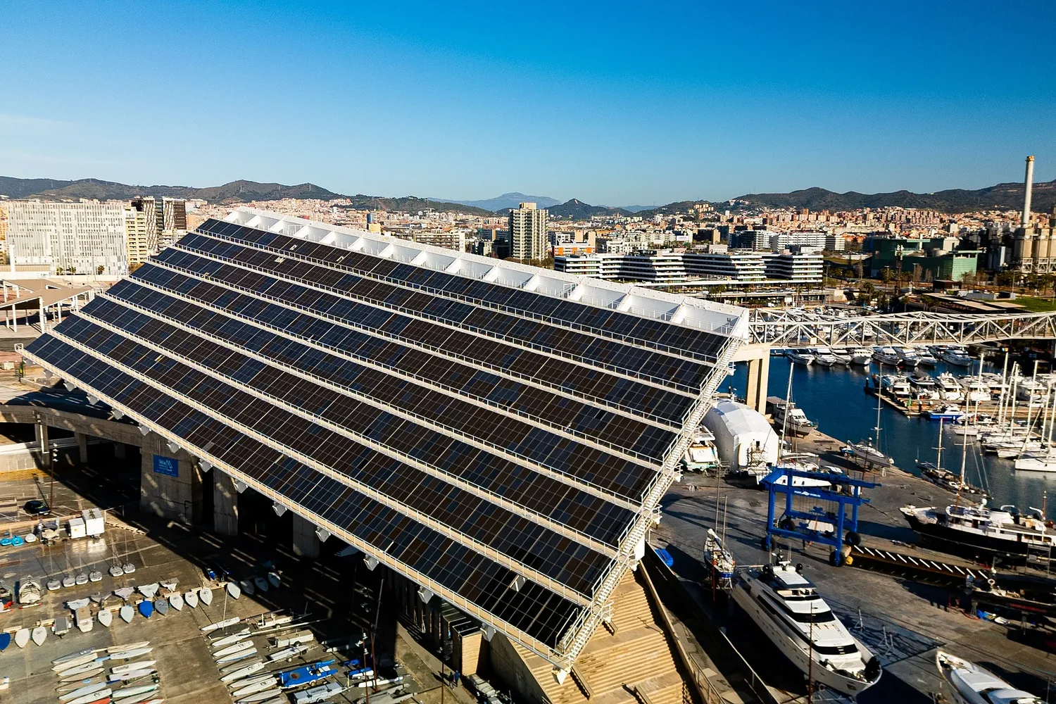 Out of the Chaos, a Green Future?