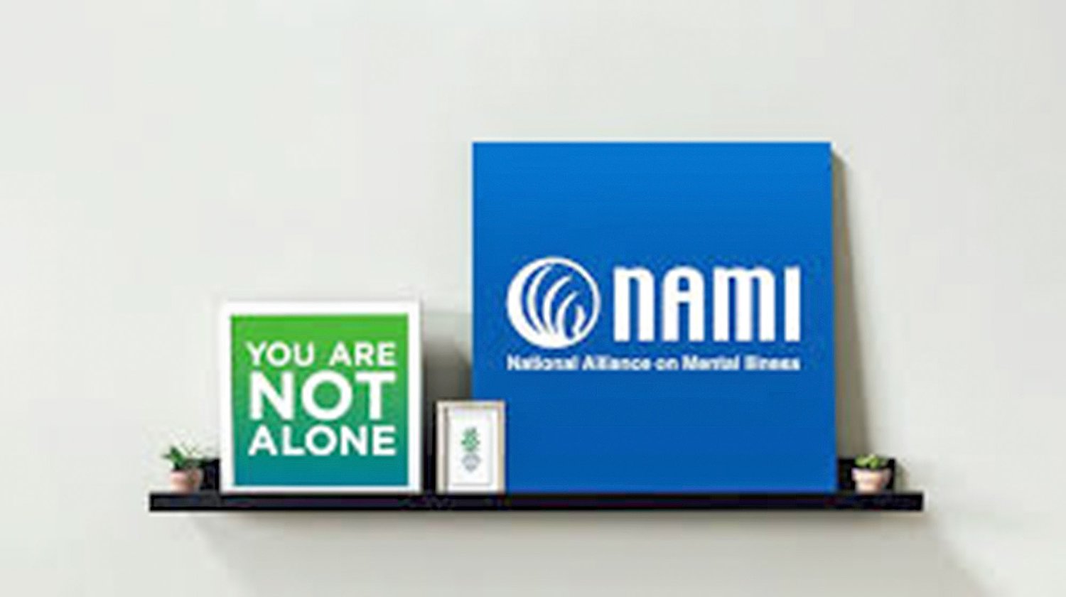Learn about National Alliance on Mental Illness in DeKalb