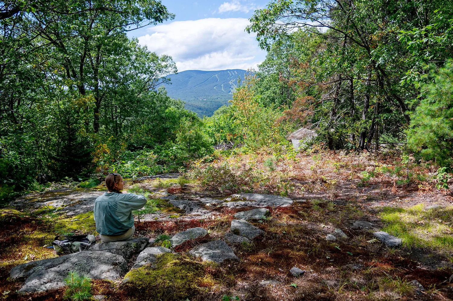 ‘Patchwork’ of conservation projects advance state’s goals, helps build wildlife corridor in southern Vermont 