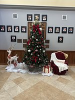 Peru purchases new Christmas tree after city can’t find original