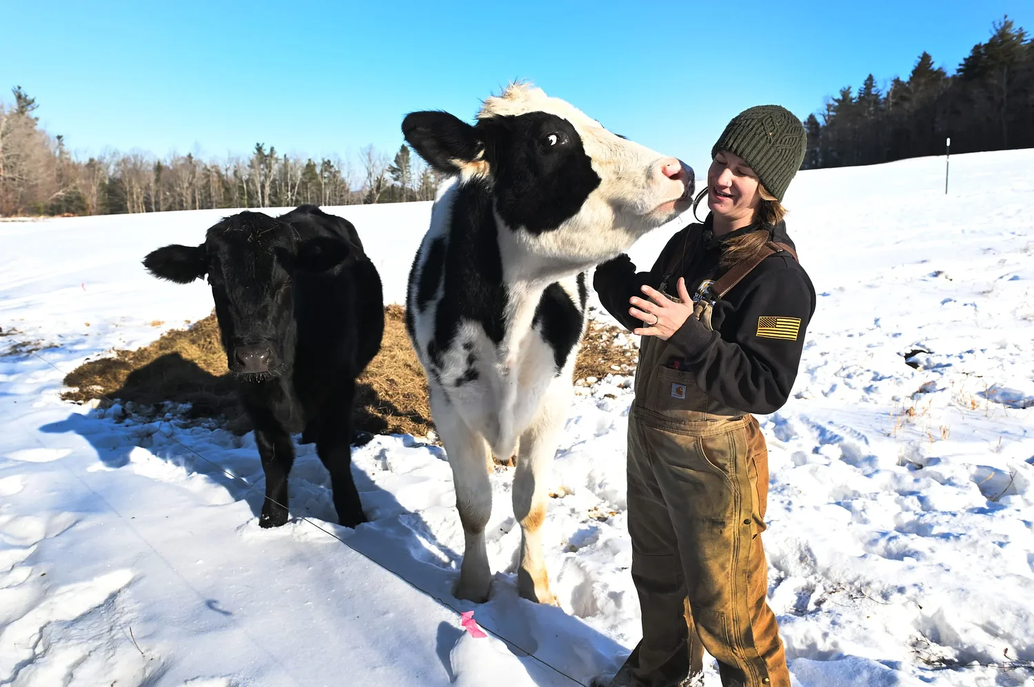 Valley Bounty: Cultivating a healthy landscape: Livestock plays a vital role in restoring the pastures at Birch Brook Farm in Heath