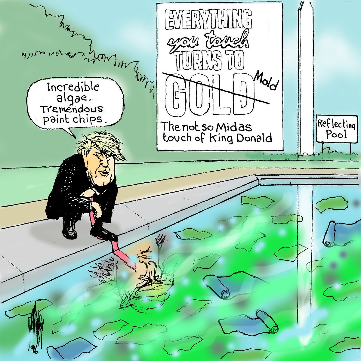 Reflecting pool mess