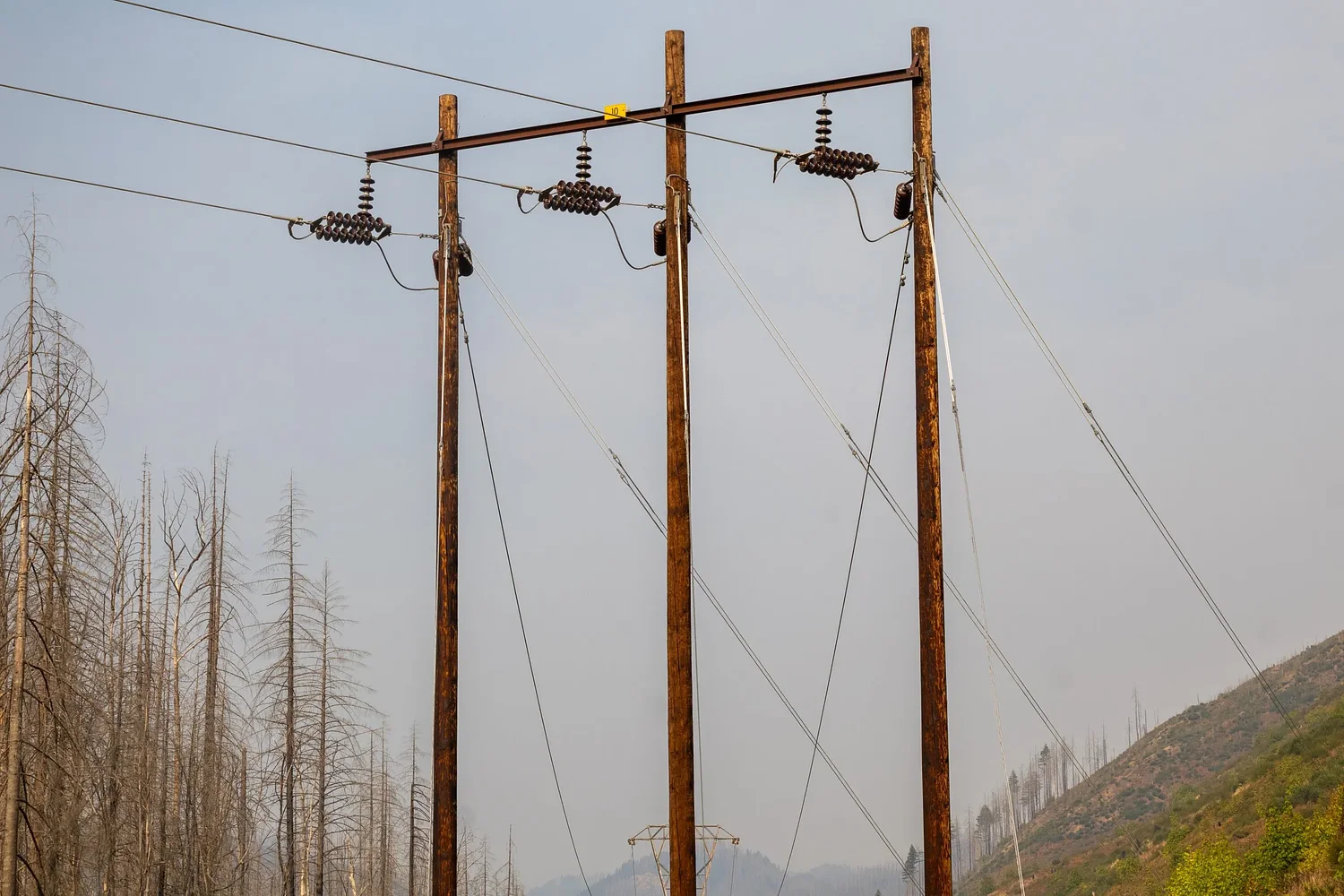 Judge denies federal request to delay fact-finding in Holiday Farm Fire lawsuits