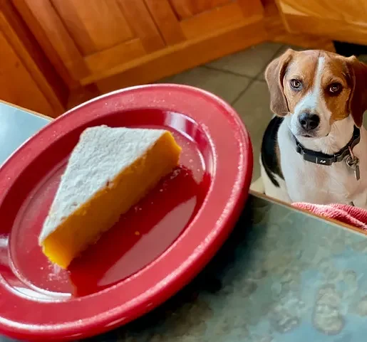 Weekly Food Photo Contest: This week’s winner: Sabine Merz of Northampton