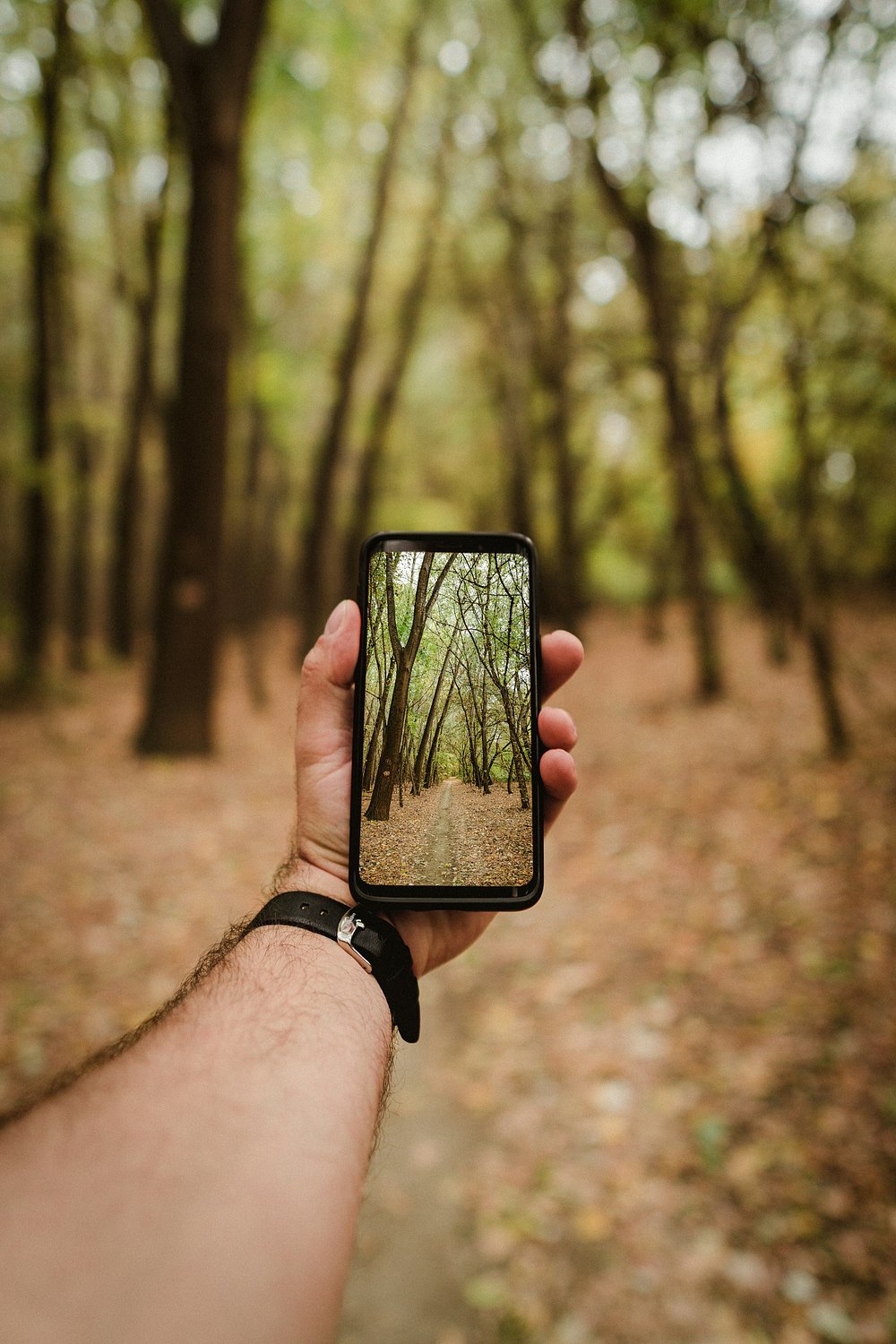 Blocking mobile phone internet for two weeks may boost mood, mental health, and attention