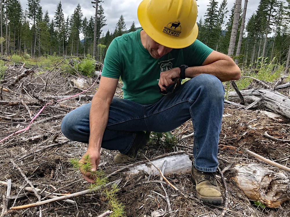 A big win for trees. And Columbia Insight