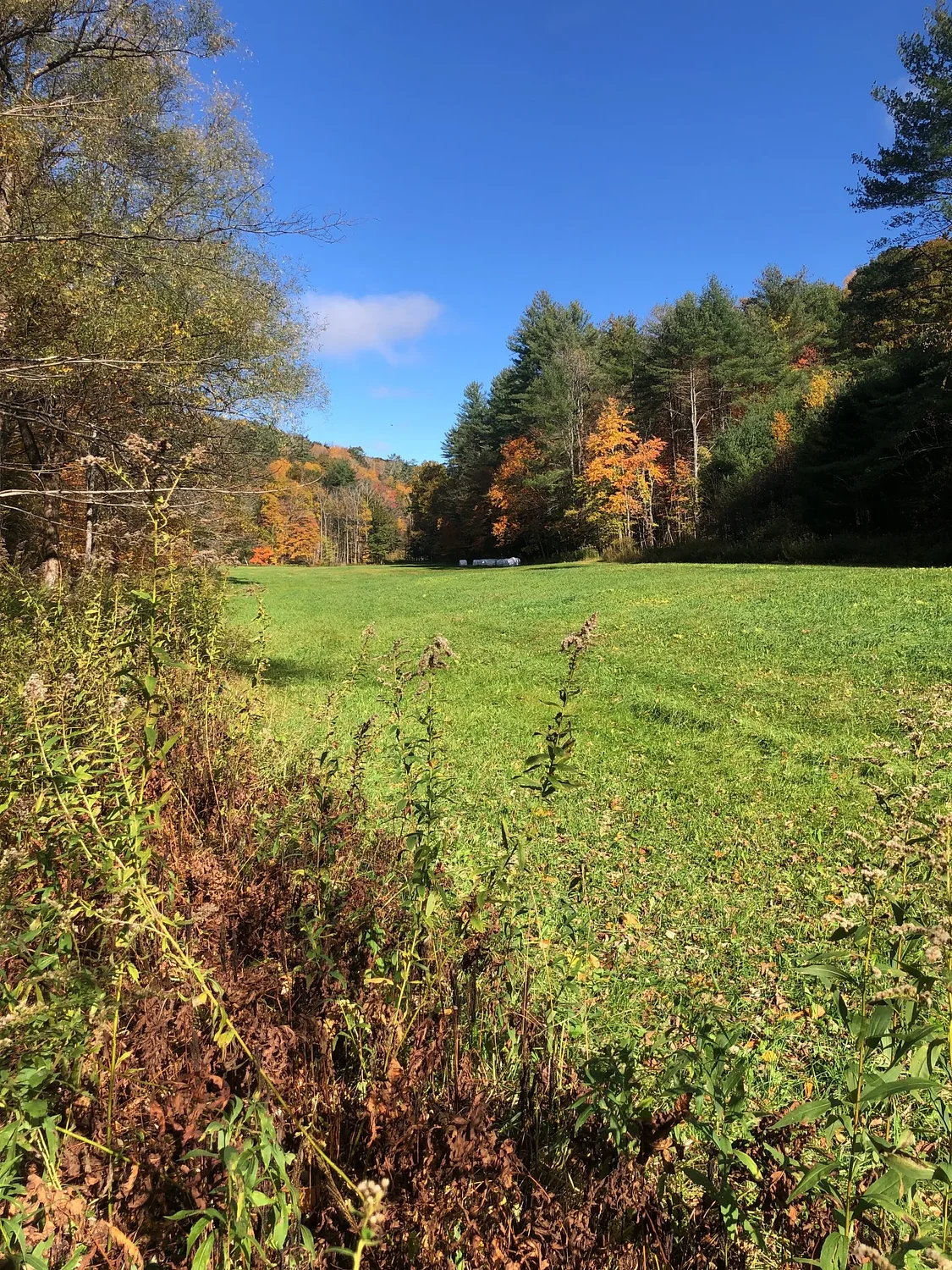 Conservation restrictions placed on Rattlesnake Gutter land in Leverett
