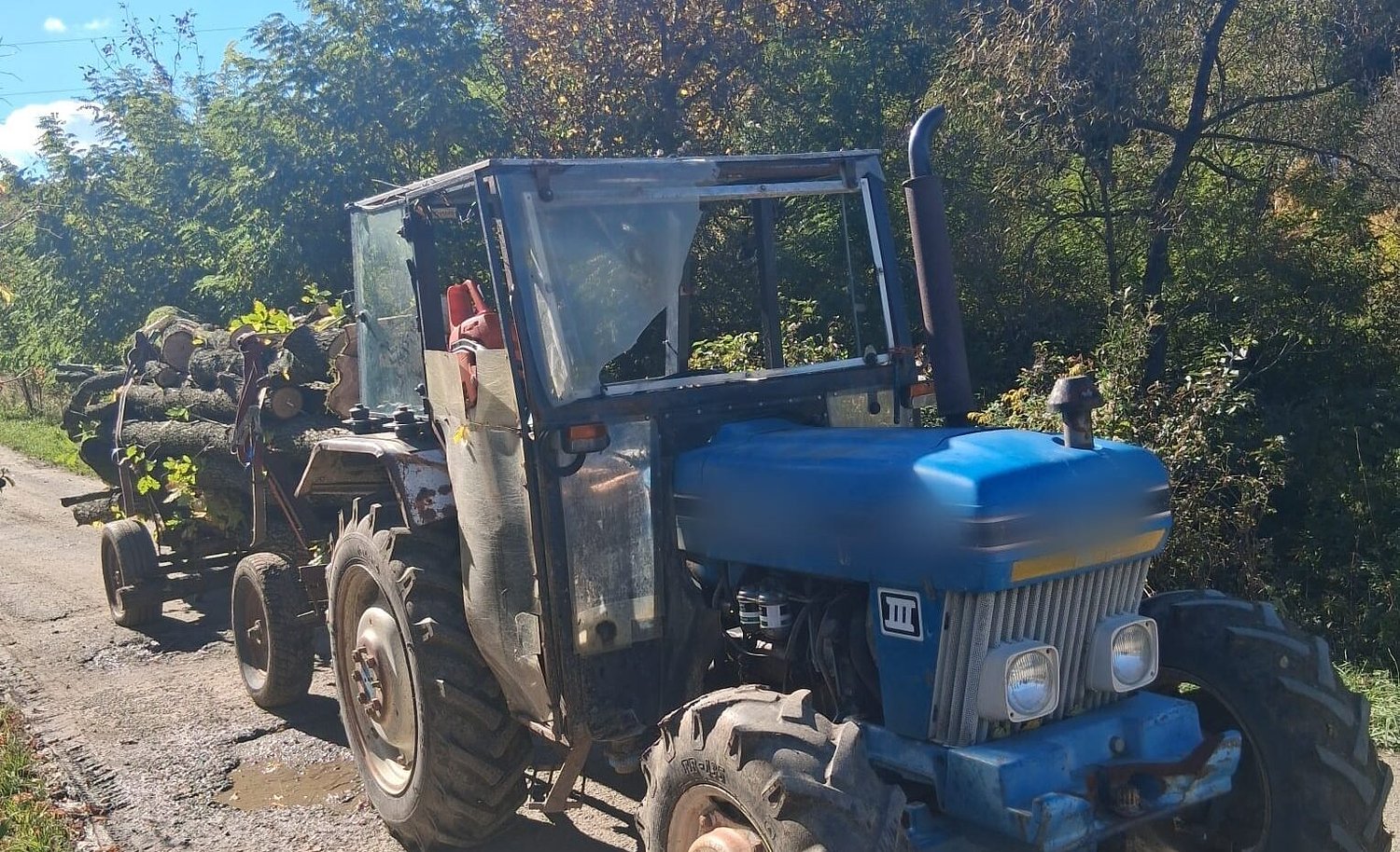 Flagrant pe un drum forestier: doi bărbați prinși cu lemne furate / foto