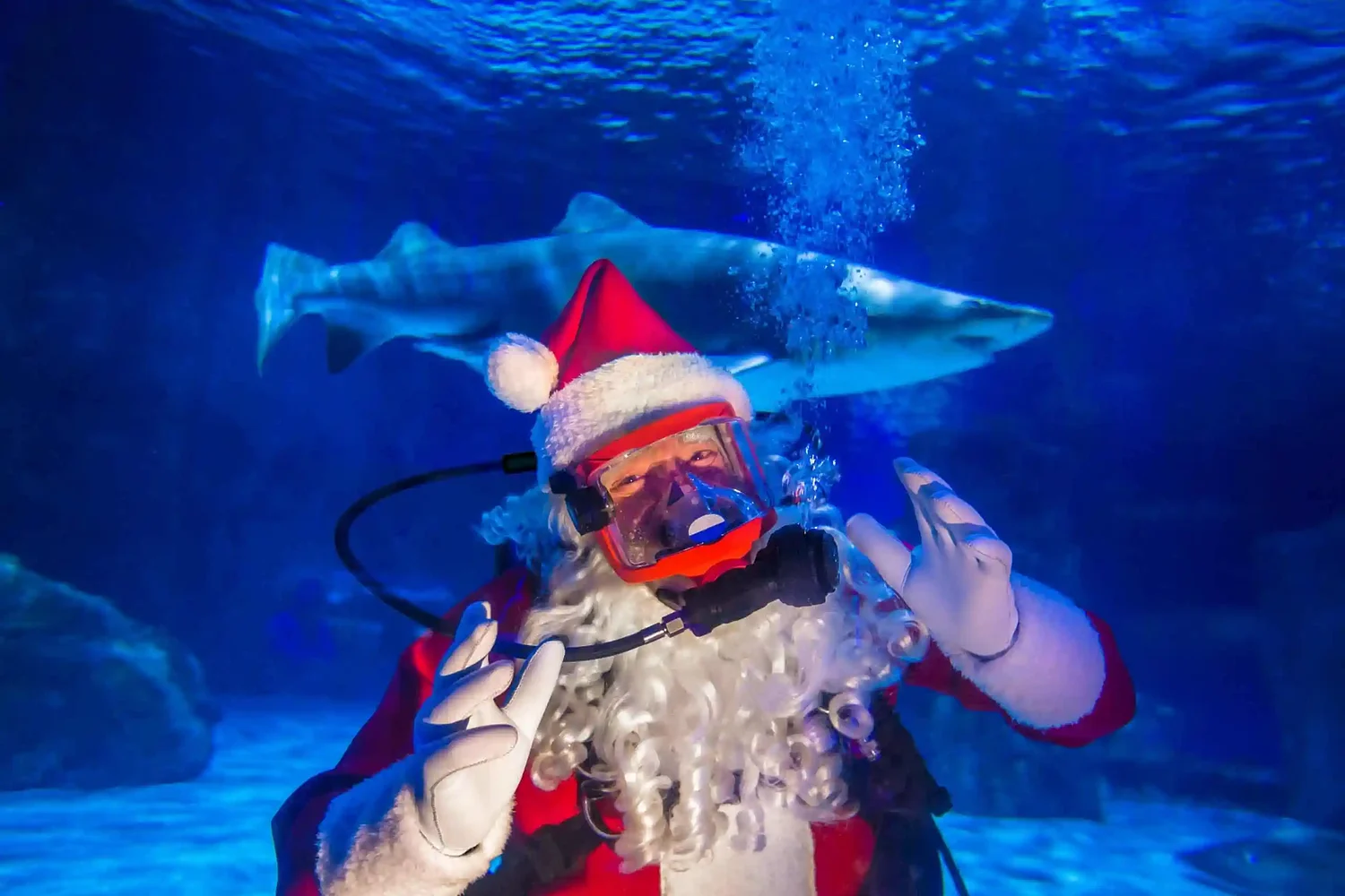 Holiday events in Northern Kentucky everyone can enjoy  