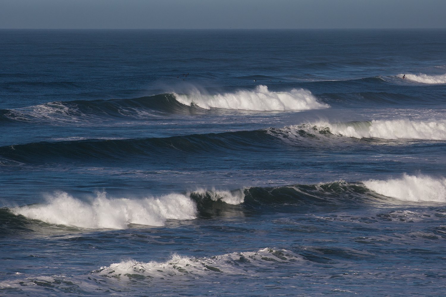 2 college basketball players drown during team-building activity