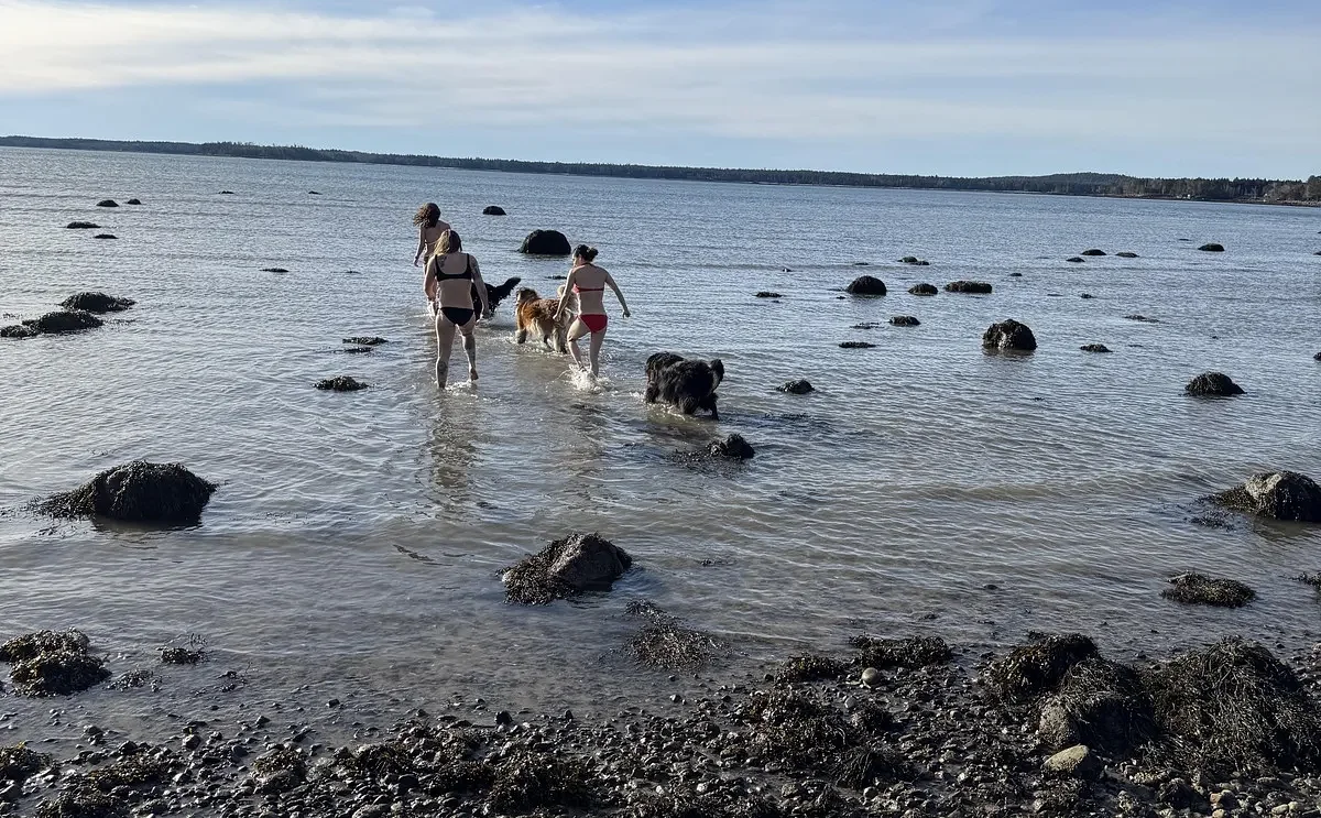 Why I jumped (almost naked) into Maine's freezing ocean