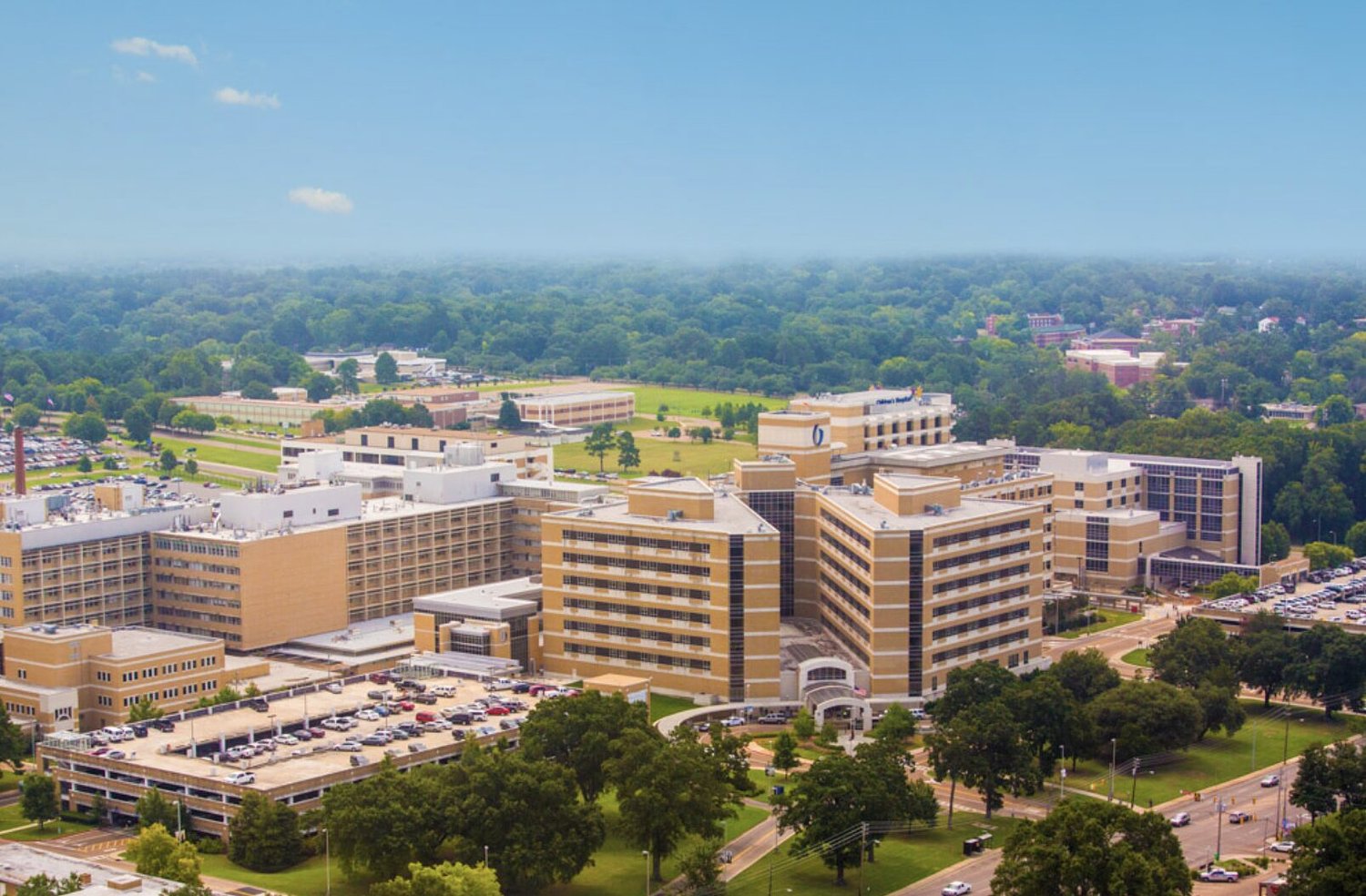 Mississippi rare disease task force is formed as families travel out of state for care