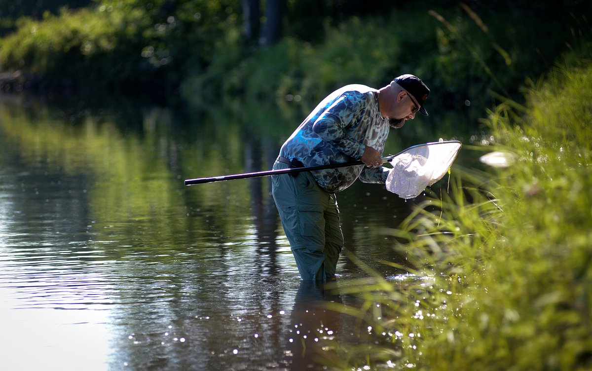 Respect and protect the Penobscot River