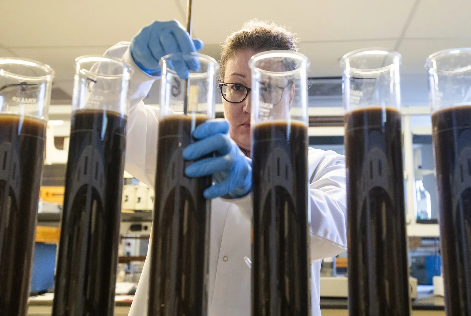 Spotlight on soil health: UMass Extension offering free soil testing, plant diagnostic services for farmers