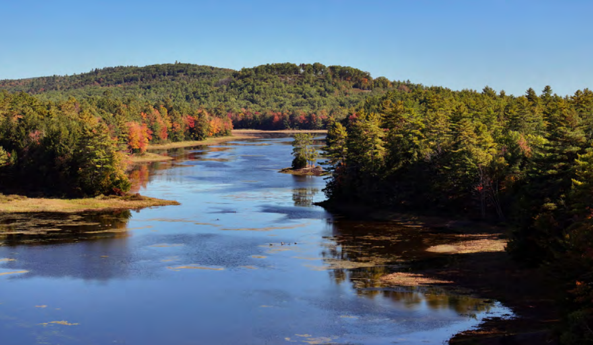 Robbins family selling forestland for $2.6 million