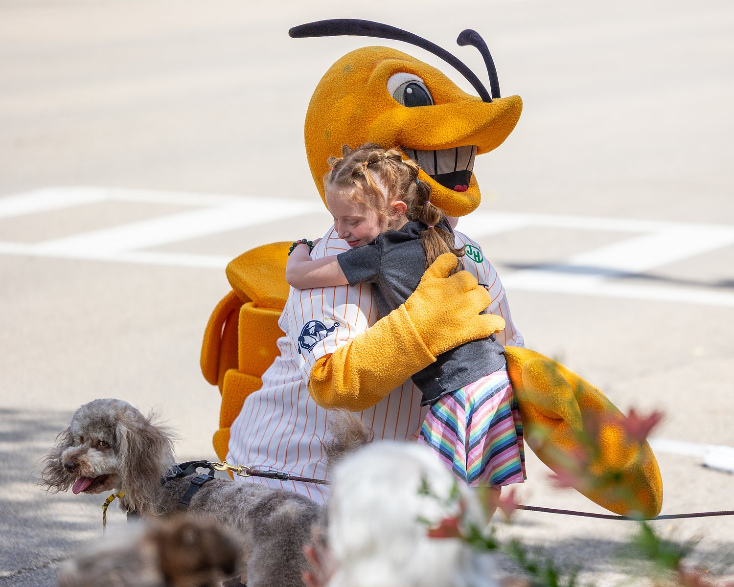 Pistol Shrimp look to bounce back from 0-6 road trip: Pistol Shrimp weekly update