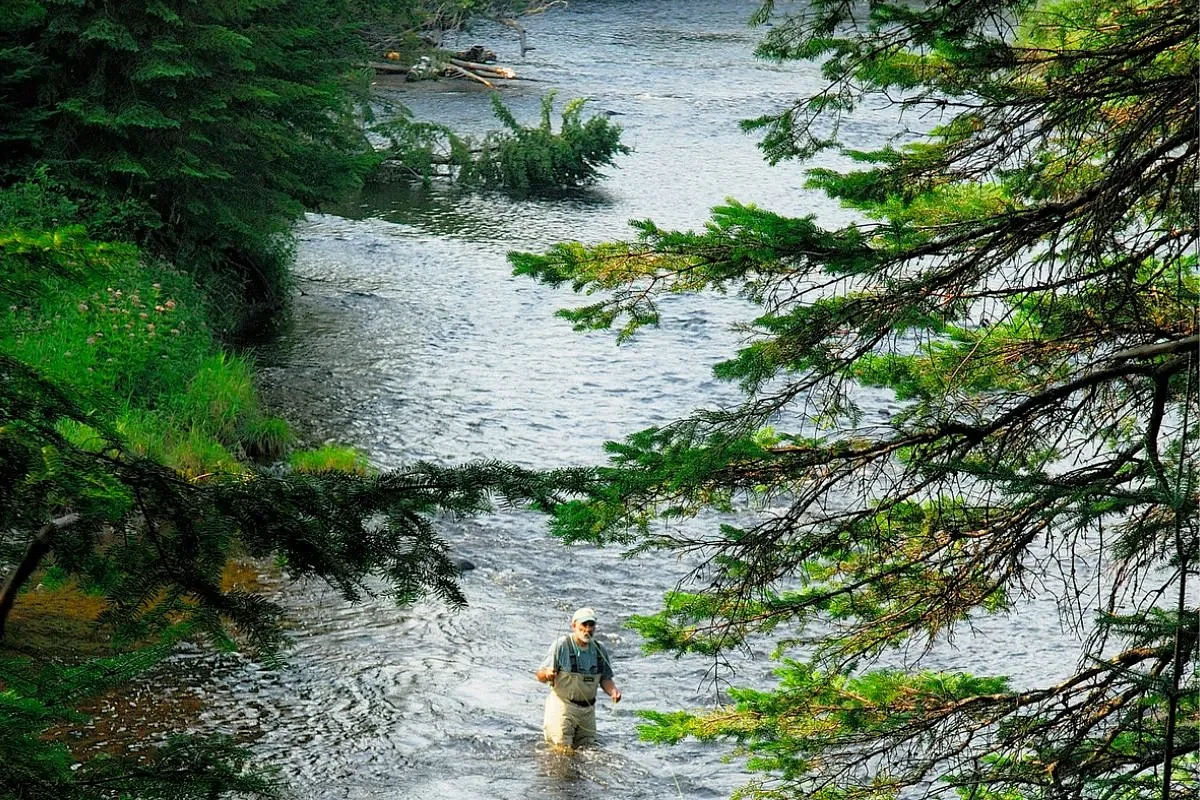 Why I keep returning to this Maine river after 40 years  