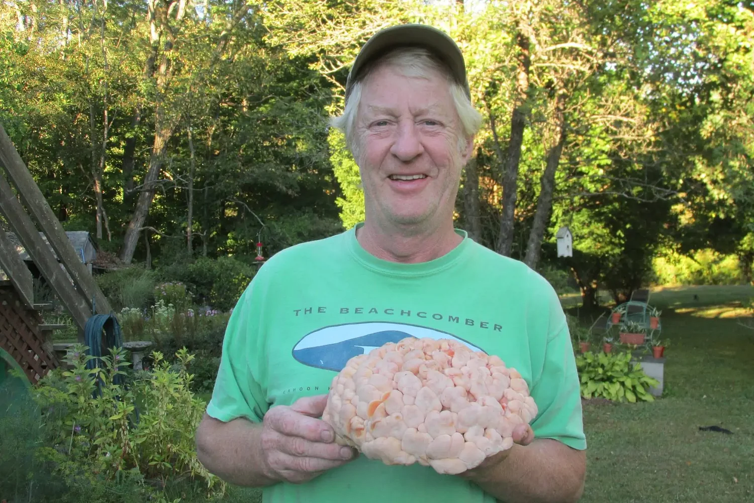 Meet a mycologist: Join a guided mushroom hunt with mycologist John Wheeler