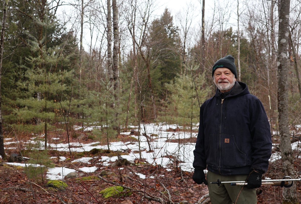 Pests and storms in changing forests bring new problems for Maine woodlot owners