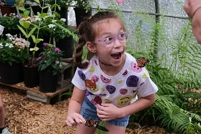 Family-friendly summer events announced by Chattahoochee Nature Center