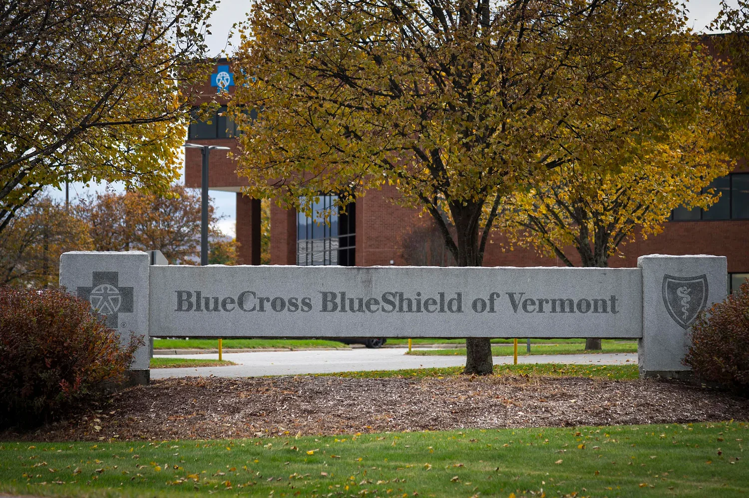 Vermont’s largest health insurer wants to offer a cheaper plan. Can it actually help Vermonters?