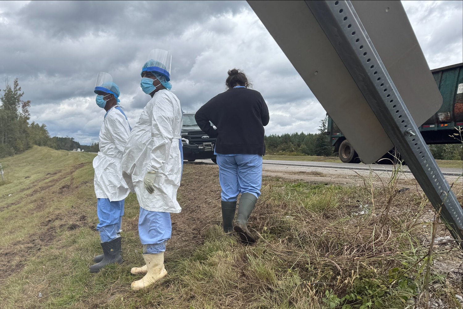 3 monkeys on the loose after truck overturns in Mississippi
