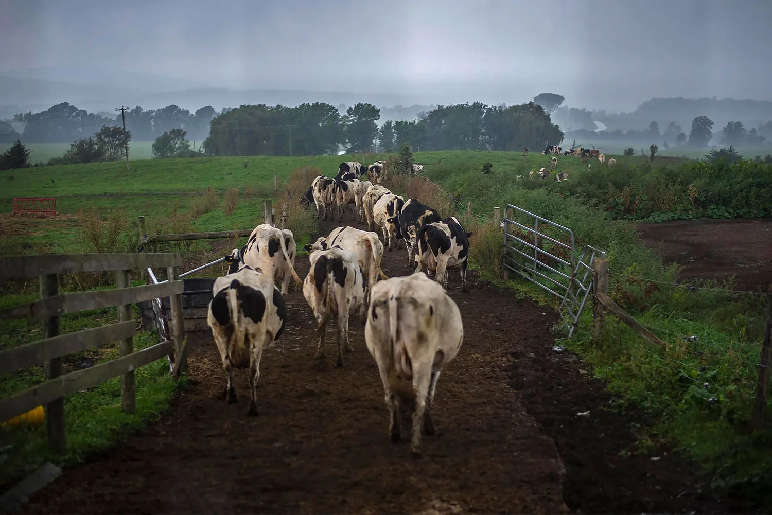 US farmers to receive $12 billion in aid. Will Vermont see any?