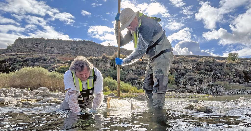 Quagga fail: 90% of life killed in parts of Snake River section of copper treatment
