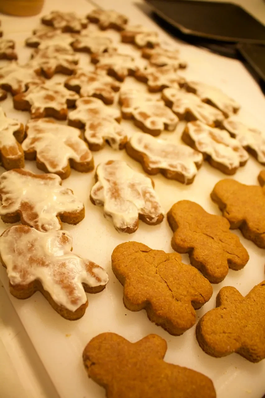 Easy-to-make holiday cookies your dog will love