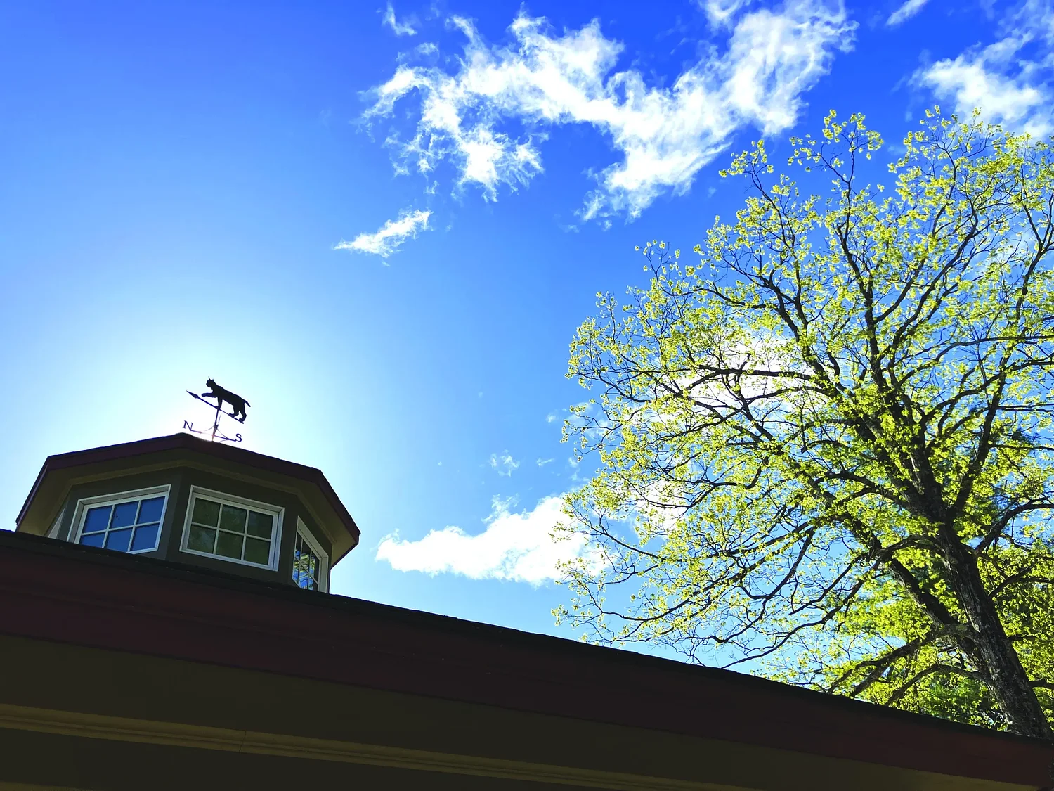 New book reveals hidden gems of Monadnock Region's SuperSanctuary