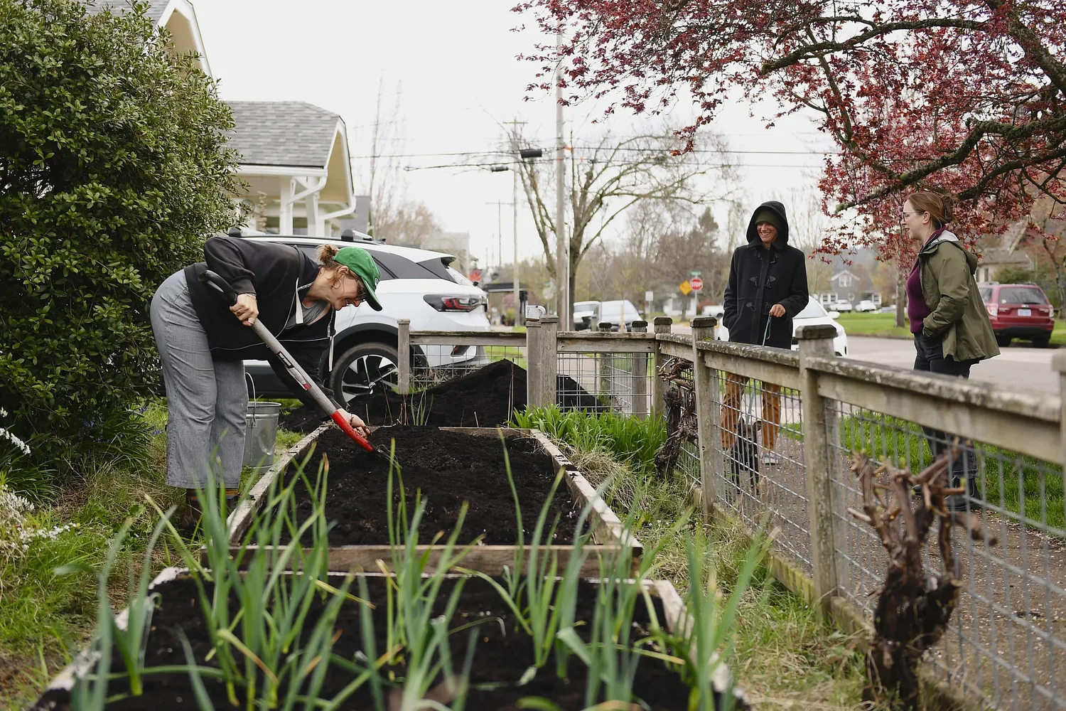 Unexpected joys of gardening in the front yard: It's not about the veggies