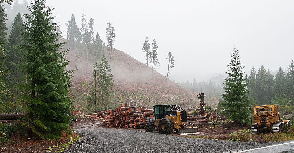 Oregon bill to cut millions in timber taxes is dead, despite high-level backing