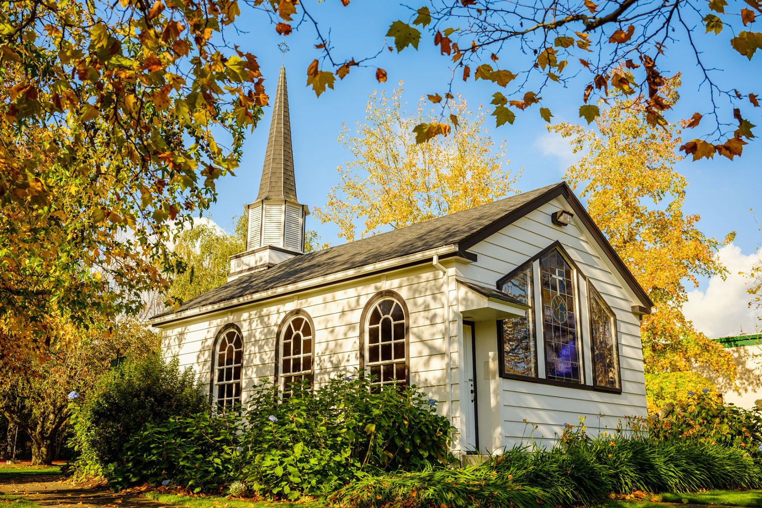 Multnomah gave up its campus in a failed takeover. Alums want it back.