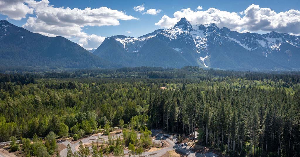 How hikers are bringing new strategies to forest protection, fight against climate change