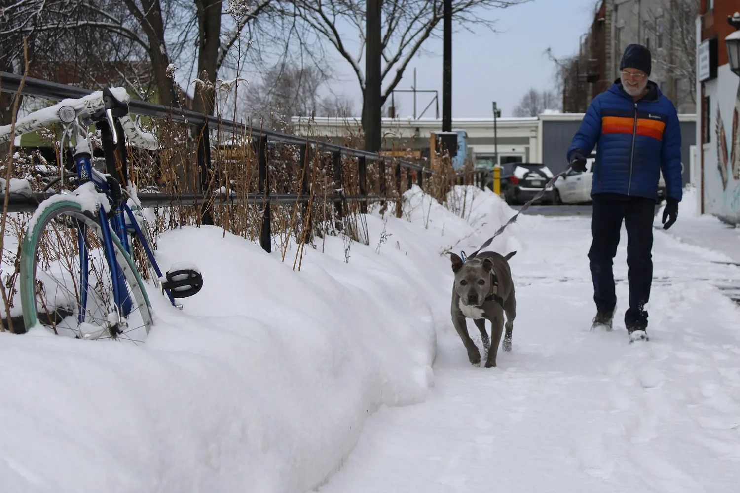 PHOTOS: Snowy stroll