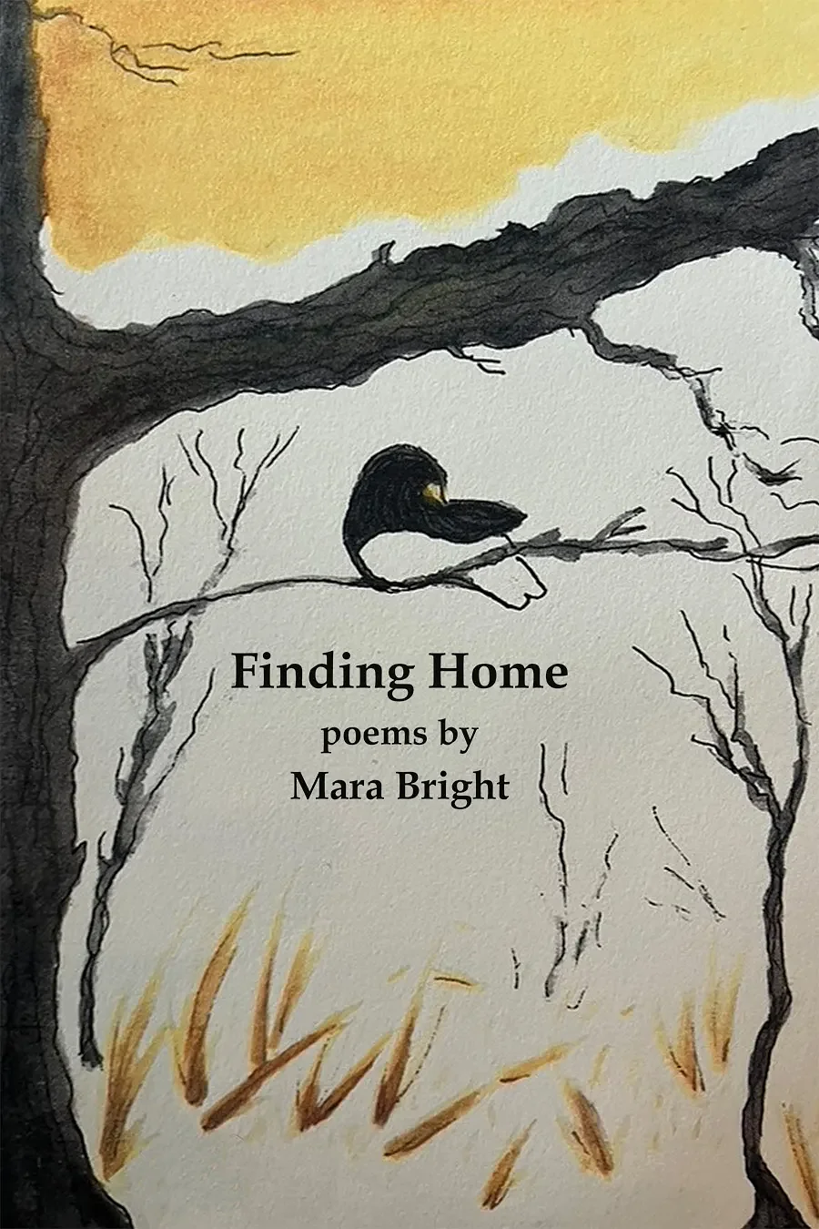 Undertaking a quest for belonging: Author Mara Bright to host readings in Erving, Greenfield and Shutesbury