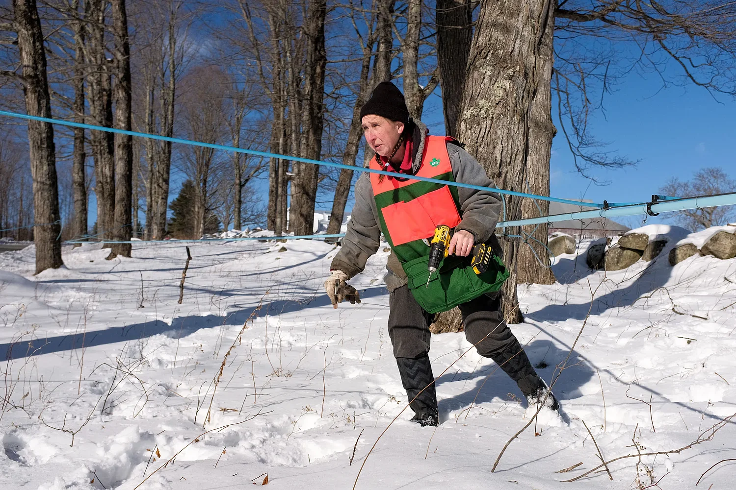 For the few NH farms as old as the nation, their endurance has relied on adaptability