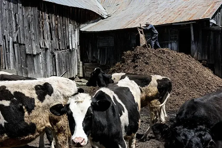 Vermont implements ban on manure spreading to protect water quality