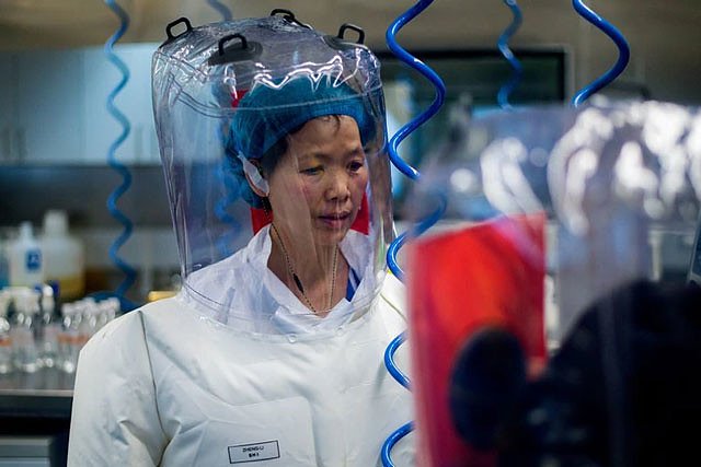 Emails show Wuhan scientist suggested hand-carrying research antibodies to China