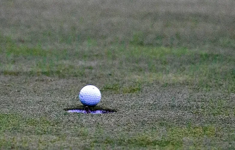 Sports Briefs: Northampton Country Club hosts 2-Ball, Ladies Scramble